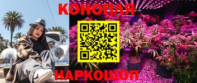 сатива Ирбит