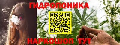 сатива Бердск